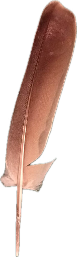 Piwamune