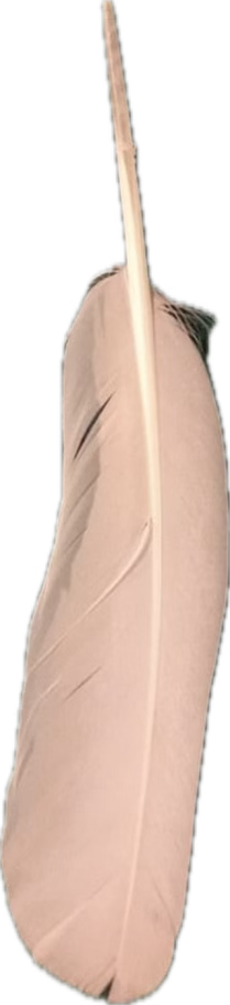 Excalipo